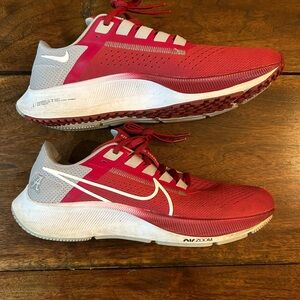 Nike Air Zoom Pegasus